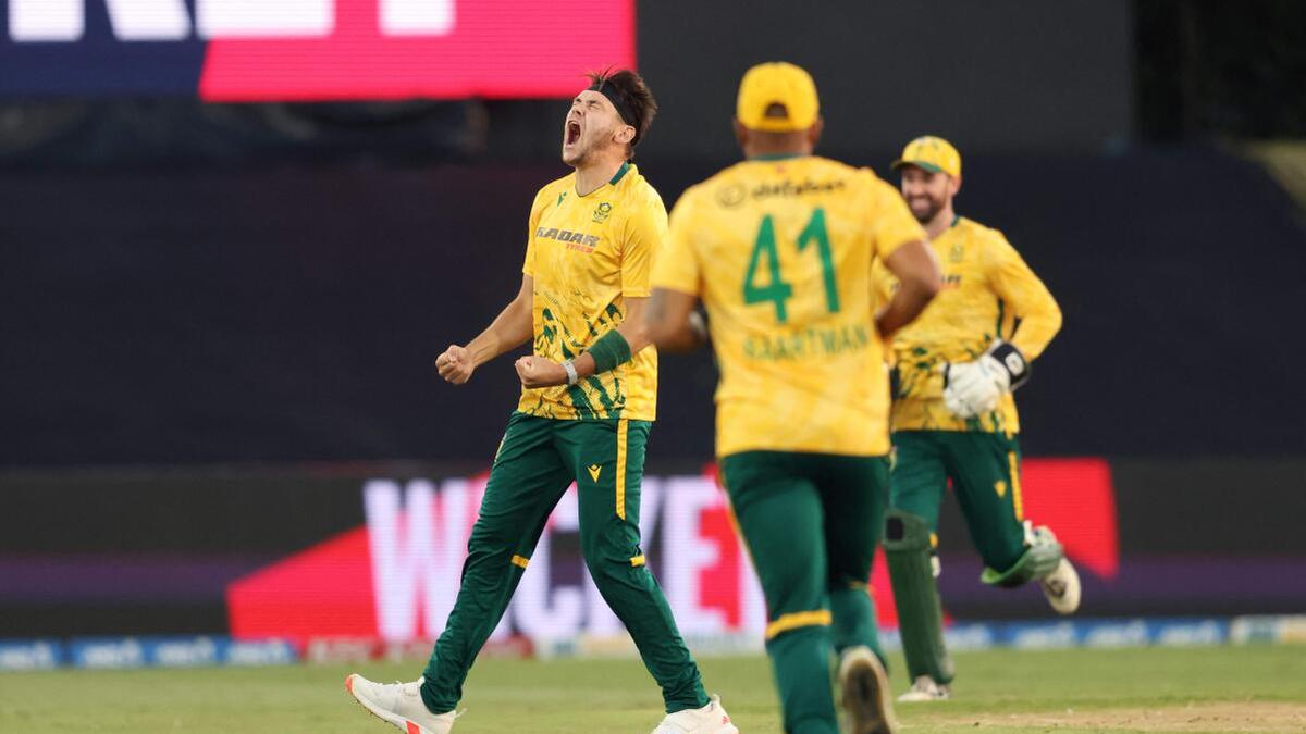 NZ vs SA Live Score, 1st T20I: New Zealand loses five wickets inside PowerPlay after electing to bat